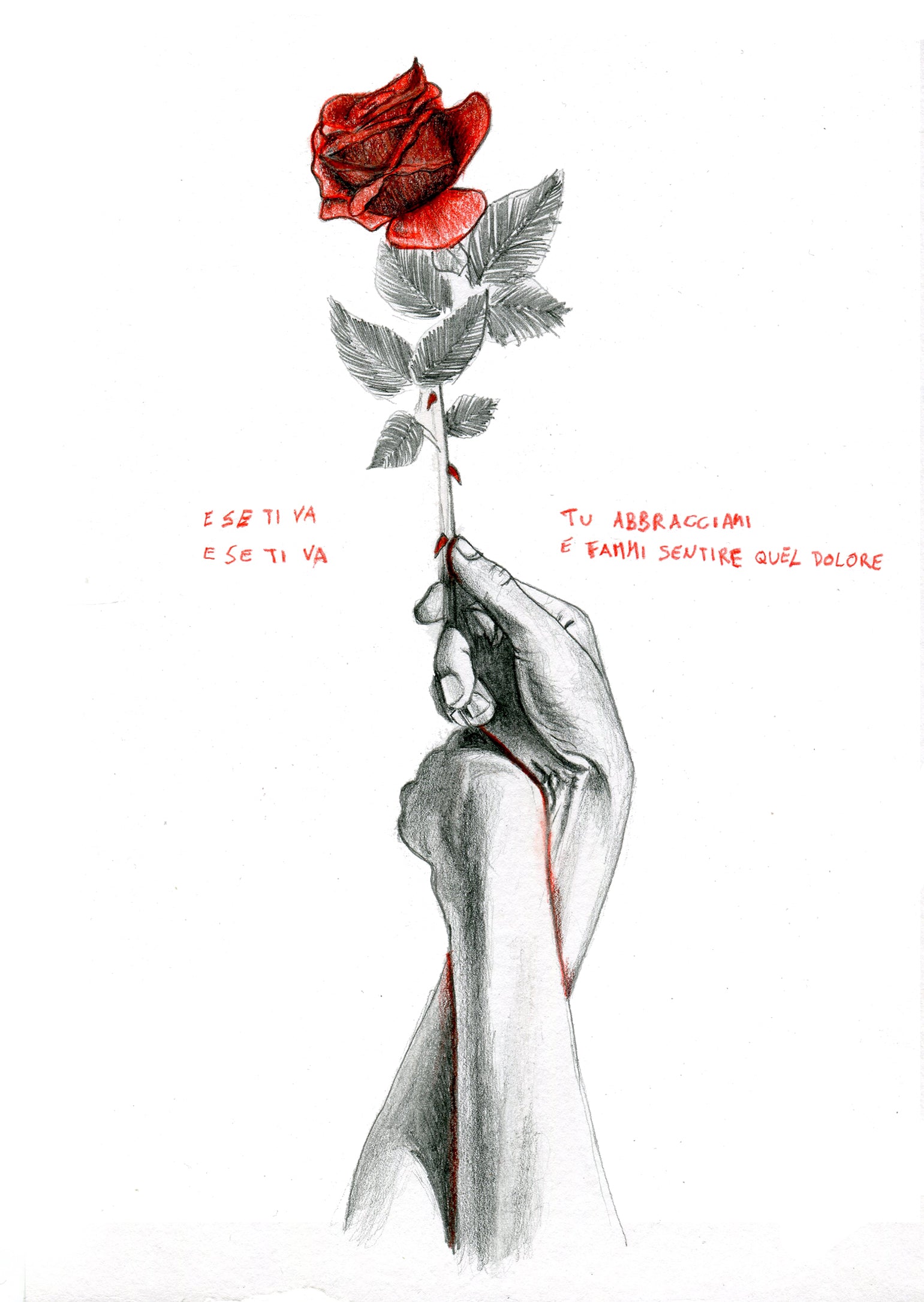 ROSA